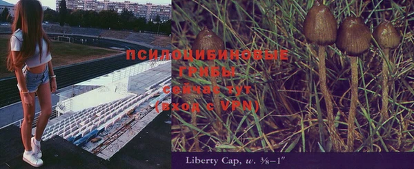 герыч Дмитров