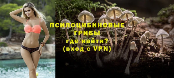 соль ск Михайловск